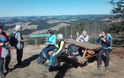 Wanderung Burgstallweg St. Georgen am Walde