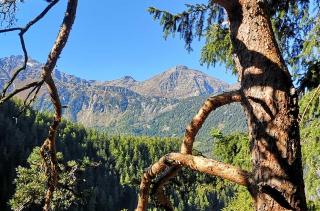 Tiroler Seitentäler 05.10.2023 – 09.10.2023