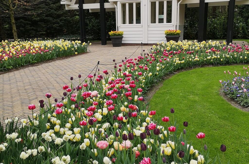 Gouda – Keukenhof