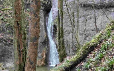 Rinnerberger Wasserfall